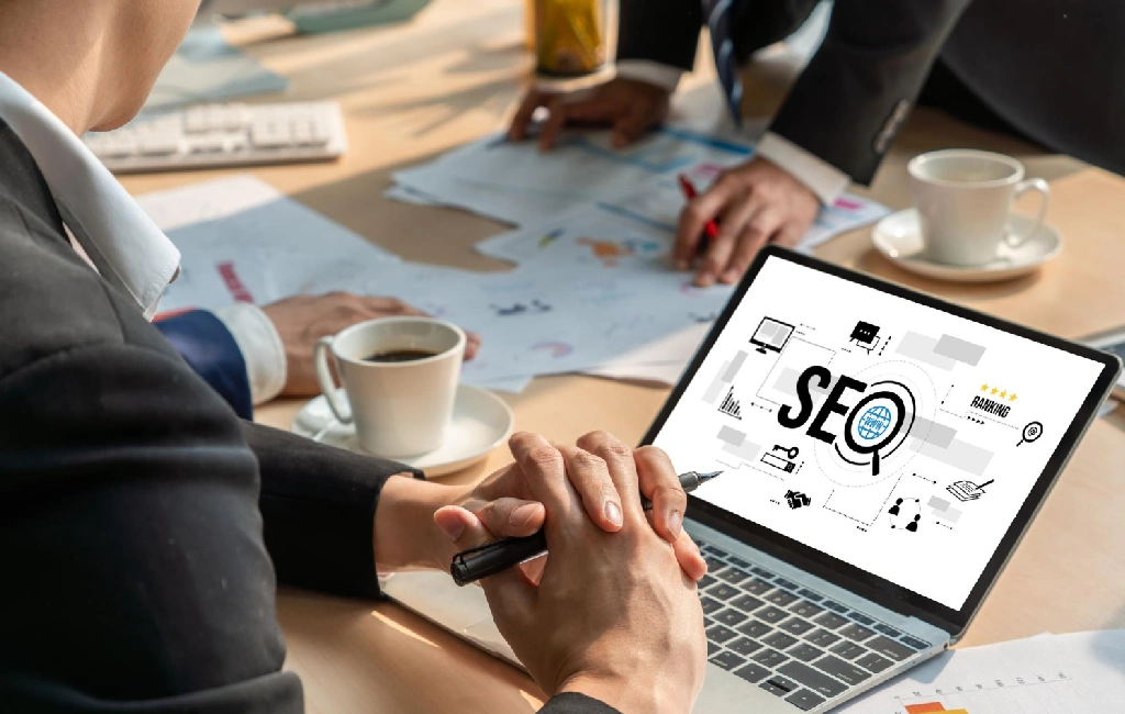 Professional SEO Services