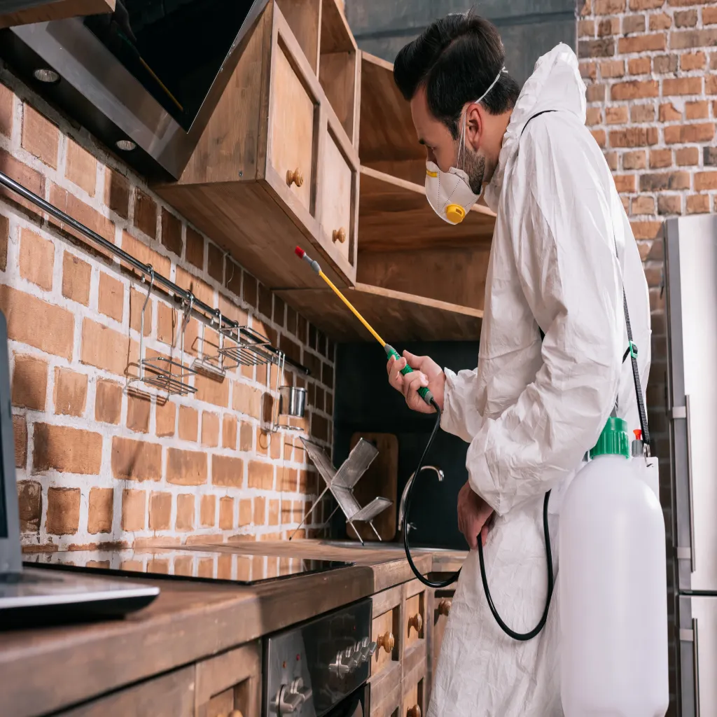 Local SEO for Pest Control Companies