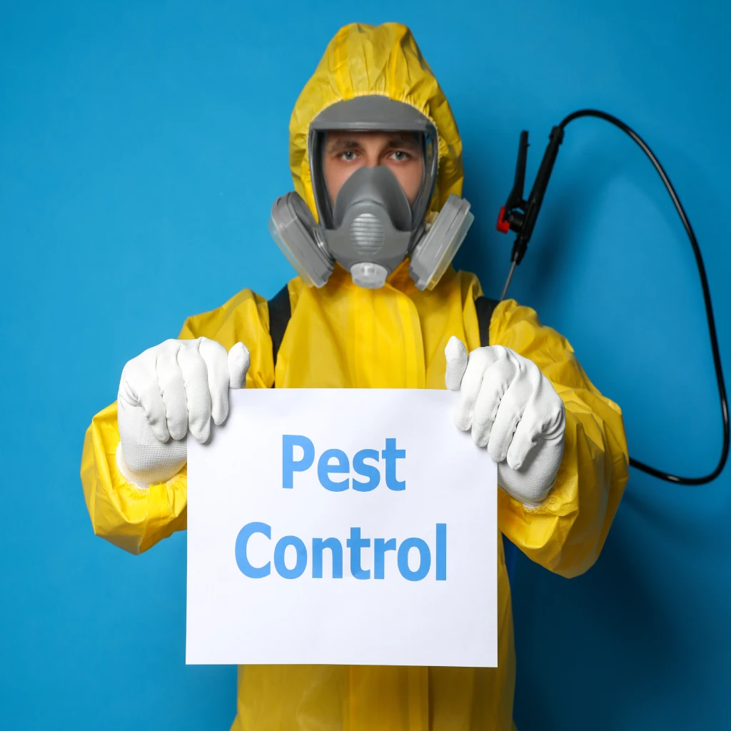 SEO Services for Pest Control Companies